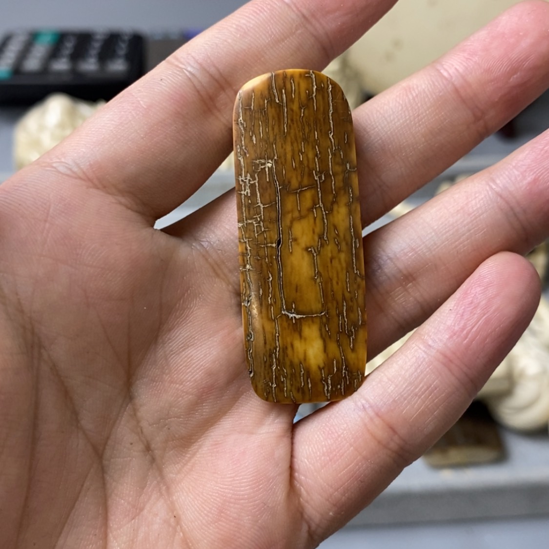 【闪购商品】天然保真猛犸牙根雕