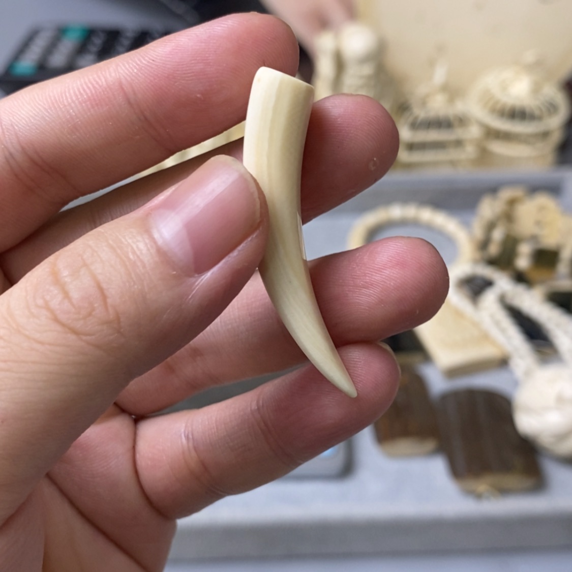 【闪购商品】天然保真猛犸牙根雕