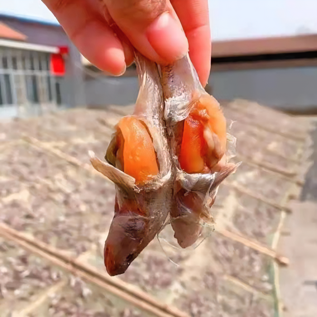 晨雨水产  咸籽光鱼  咸光鱼干 不是干鱼哈一卤鲜，介意大小慎拍