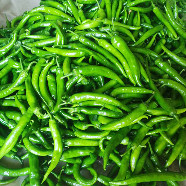 高安上湖富硒辣椒博览园直发 现摘现人工挑选  1.5/2.5/5kg 