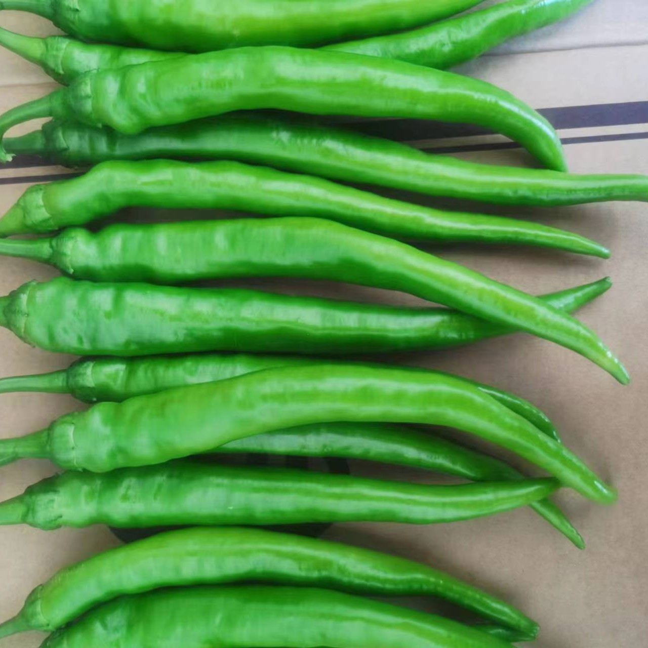 高安上湖富硒辣椒博览园直发 现摘现发辣椒人工挑选