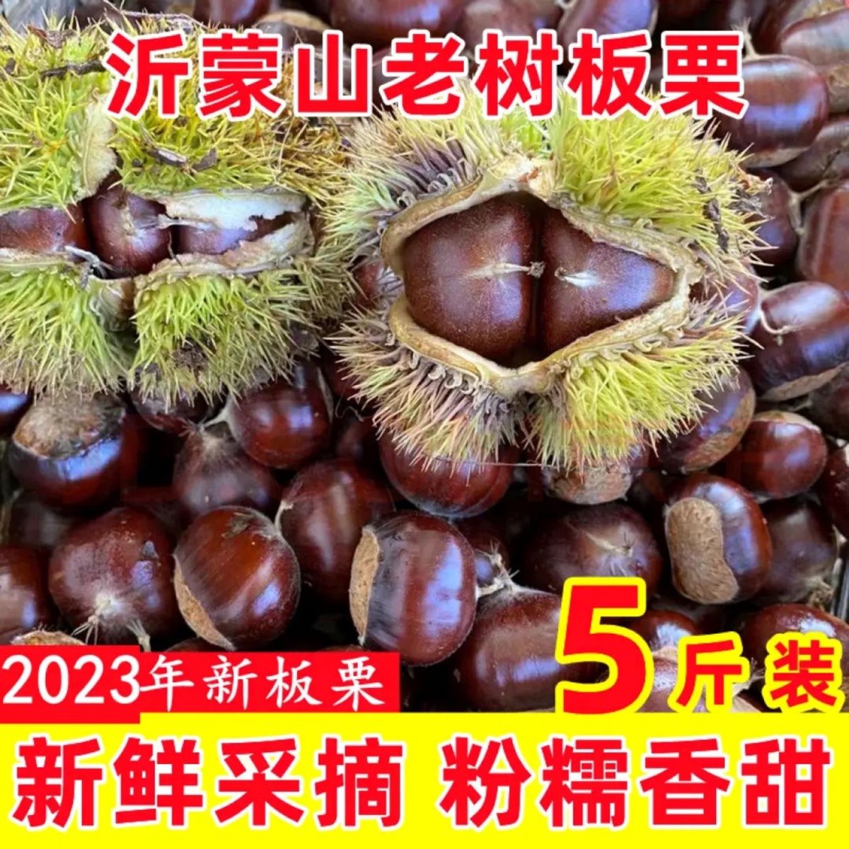 山东沂蒙山老树小油栗子 板栗 生新鲜栗子粉糯甜生板栗野生板栗1g