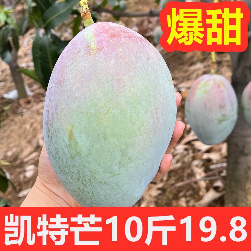 四川攀枝花凯特青皮芒果新鲜10斤水果新鲜当季整箱凯特芒鲜果礼1g
