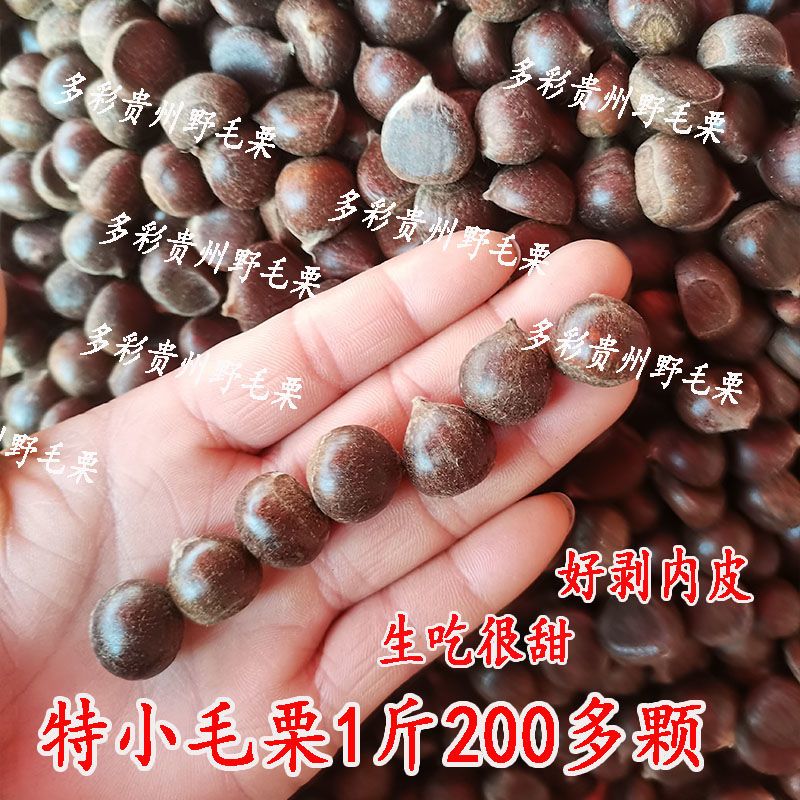 贵州特产农家野生新鲜小毛栗板栗生栗子新鲜板栗1g