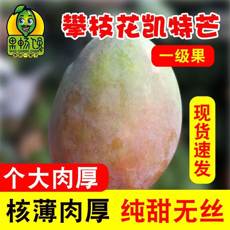 四川攀枝花凯特芒果新鲜3斤5斤当季水果应季整箱包邮热带大青皮1g