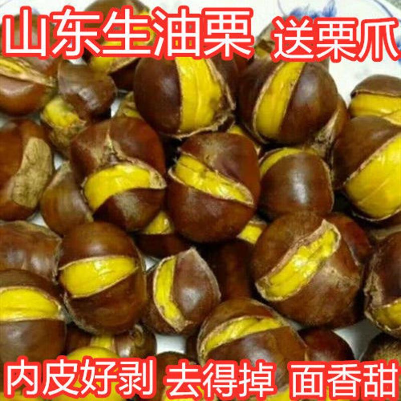 小栗子 油栗板栗 生 新鲜栗子山东沂蒙山栗子生板栗野生板栗包1g
