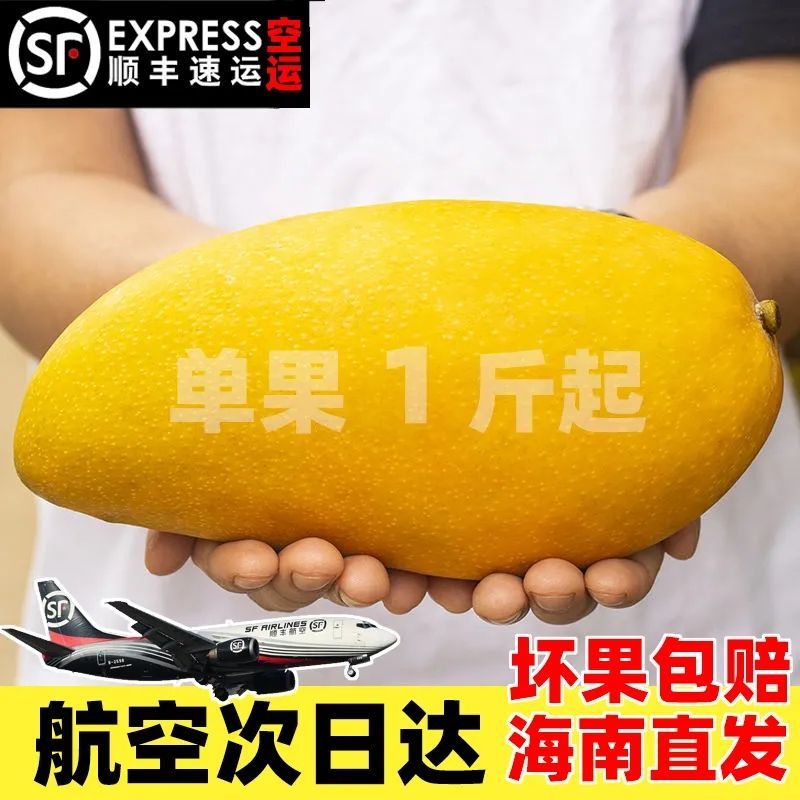 顺丰包邮海南金煌芒水仙芒成熟新鲜水果特大青芒果非台农贵妃芒1g