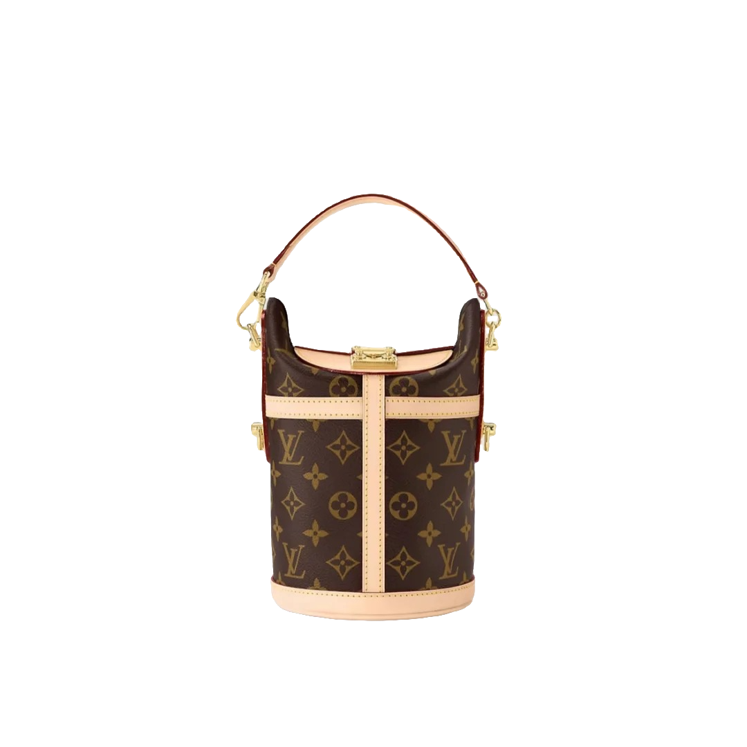 95新 LouisVuitton/路易威登  薯条包/单肩斜挎包/严选