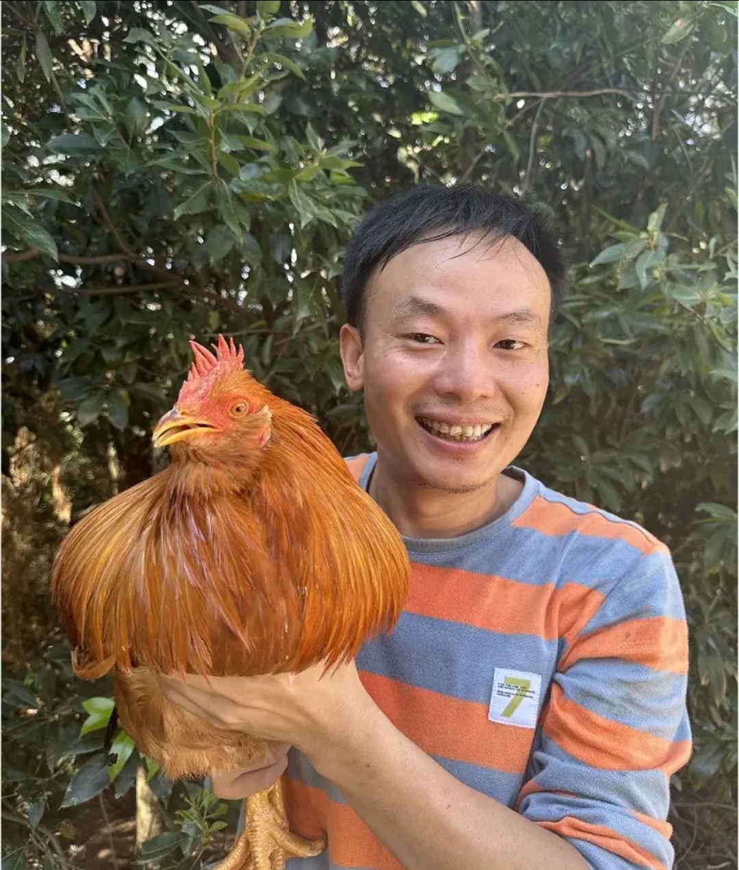 阿毛象洞跑山公鸡