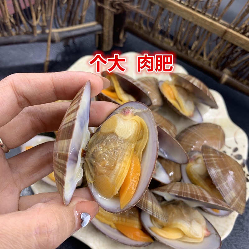 黄蚬子一斤 快来吧