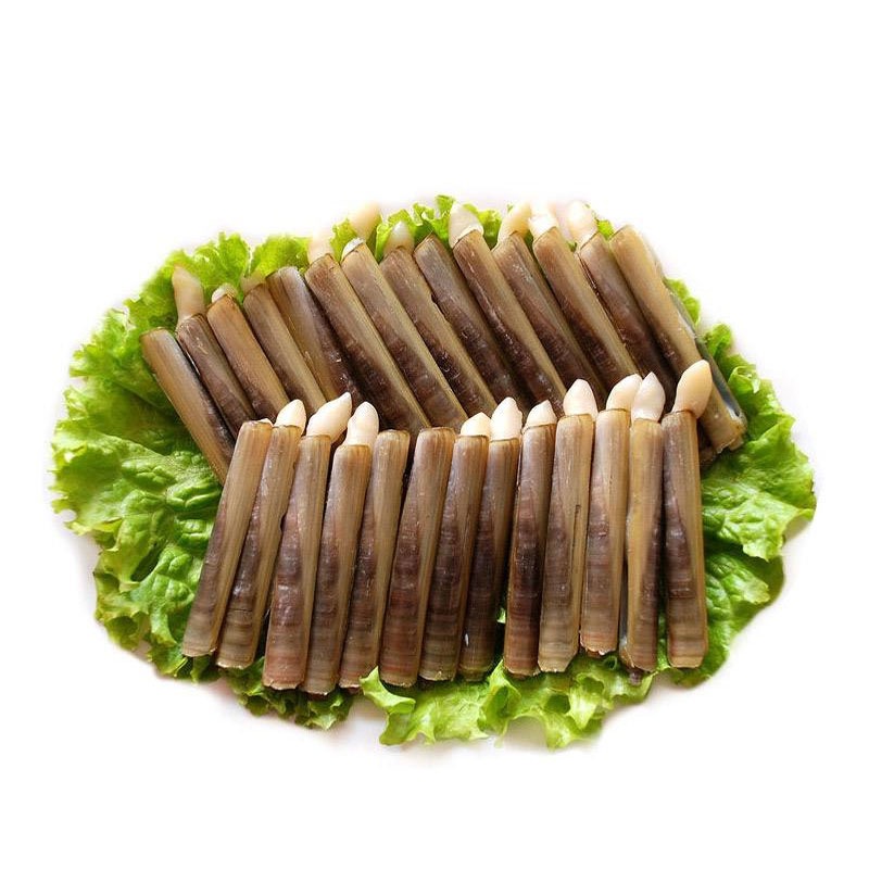 鲜活蛏子王 一斤