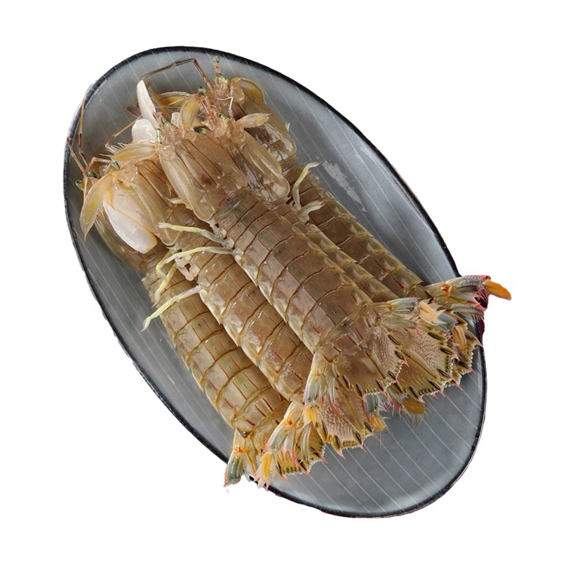 鲜活皮皮虾 宁夏区内包邮到家