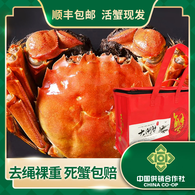 【供销社】精挑湖水大闸蟹5只公蟹4.0两-3.7两+5只母蟹3.0两-2.7两
