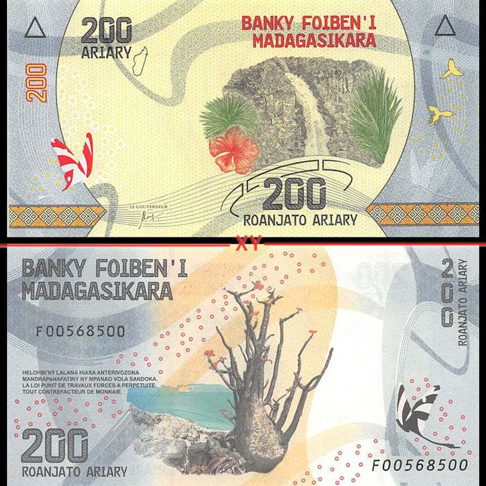 马达加斯加200阿利亚里纸币 年份版本随机 植物 非洲钱币保真全新
