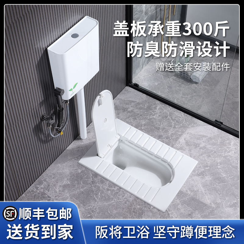 阪将带盖板蹲便器水箱家用陶瓷大便器卫生间防臭蹲坑便池蹲厕
