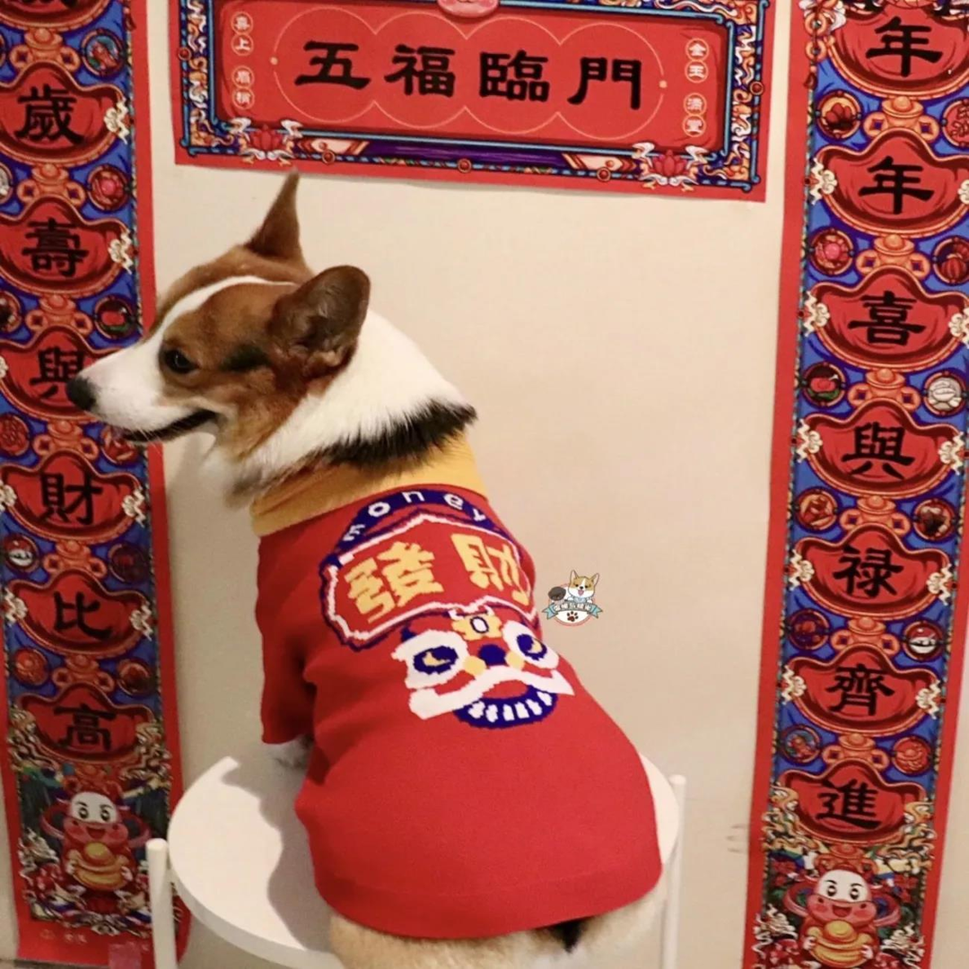 2023新年狗狗红色喜庆小猫毛衣醒狮过年衣服宠物拜年发财卫衣