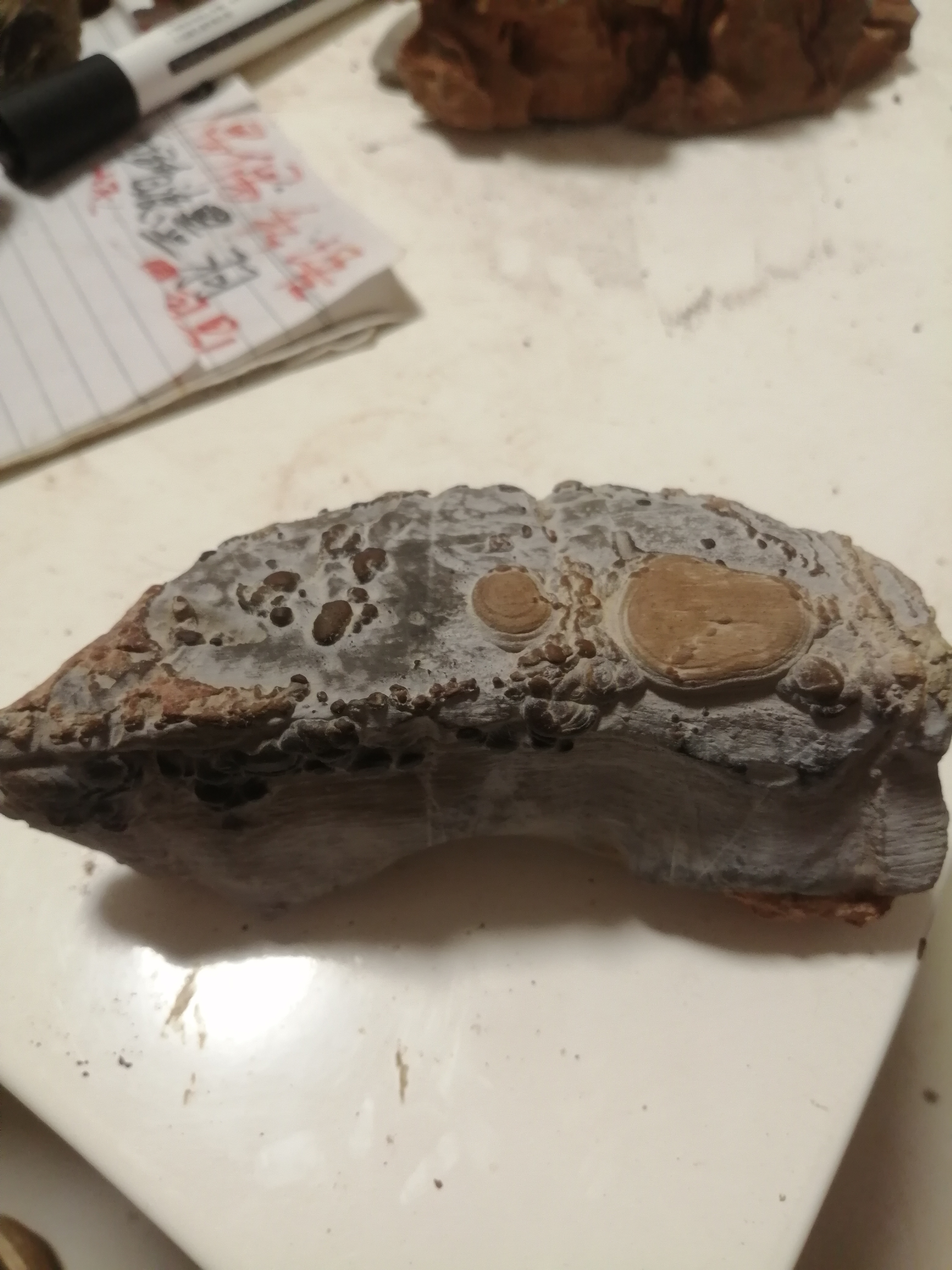 灵璧珍珠石，观赏摆件。