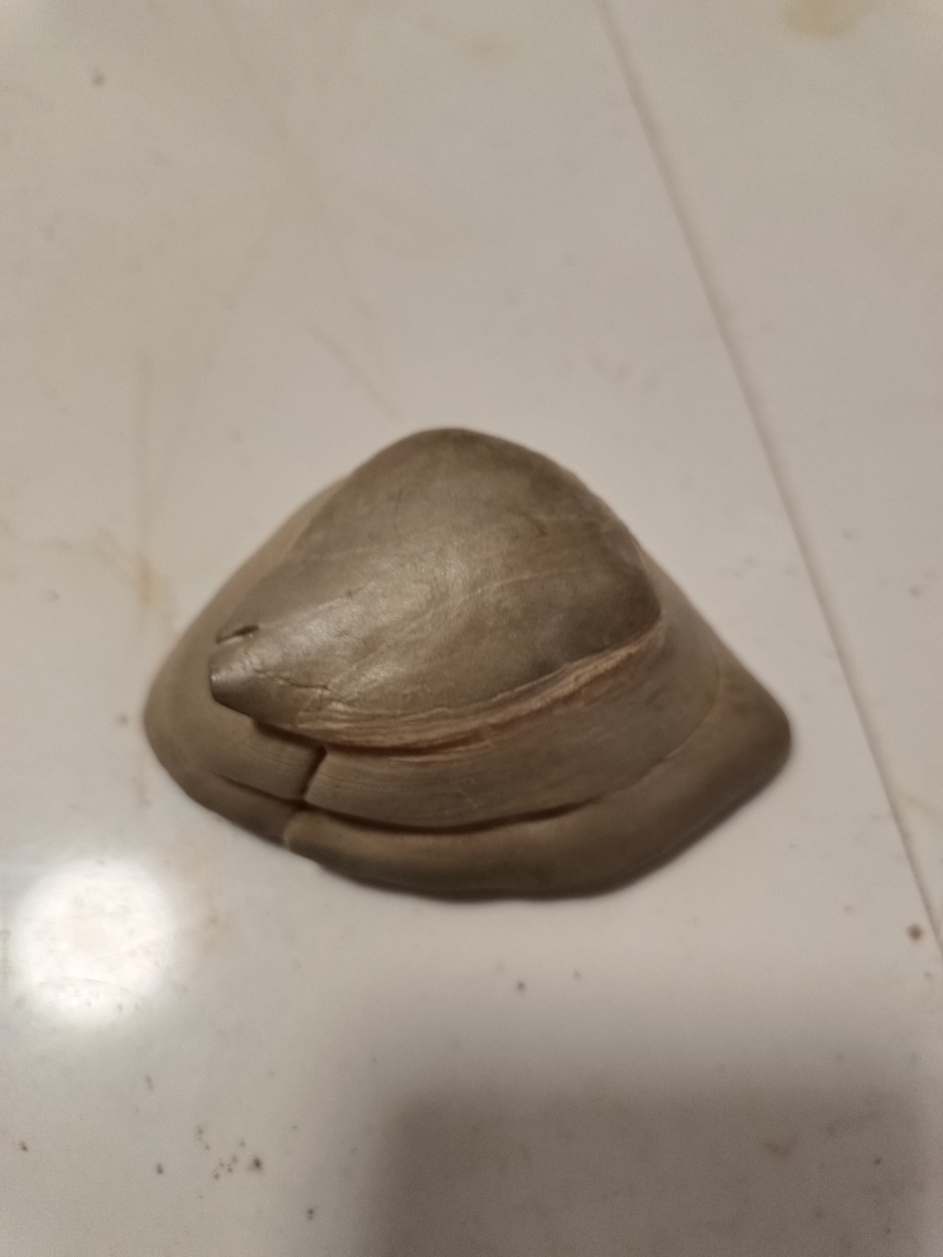 中国灵璧石石头独秀小品石仅供直播参拍，链接下单随机发货不包邮