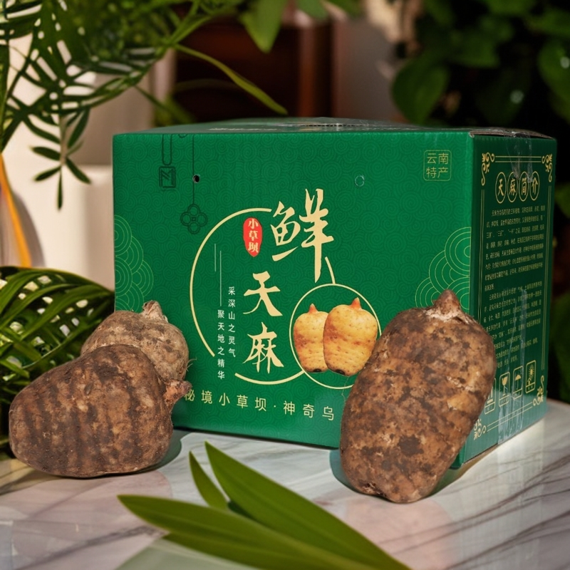 昭通小草坝新鲜天麻带泥发货保鲜 （顺丰包邮）1-3斤 礼盒装