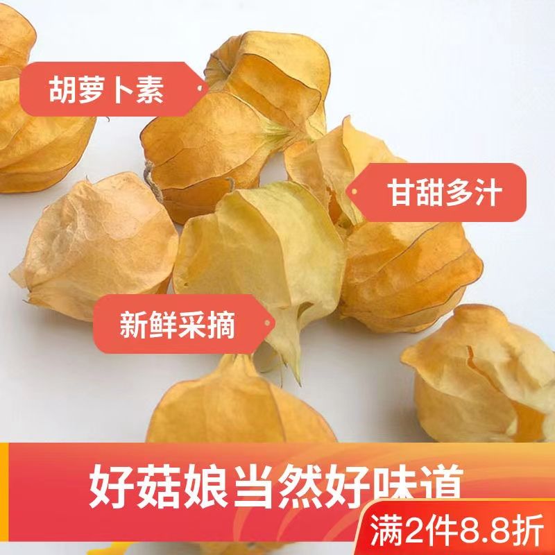 【年货】【当季】东北姑娘果薄皮灯笼果洋姑娘果新鲜好水果东北特