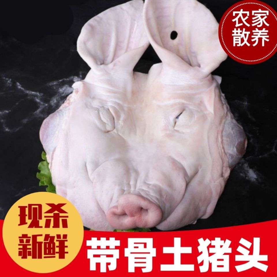 【年货】沂蒙山带耳小香猪头黑猪头肉带耳朵猪头整只新鲜猪头猪下
