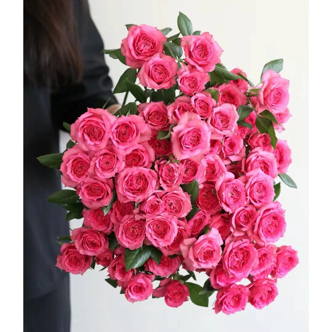 【苏菲宝贝】云南基地直发顺丰冷链包邮