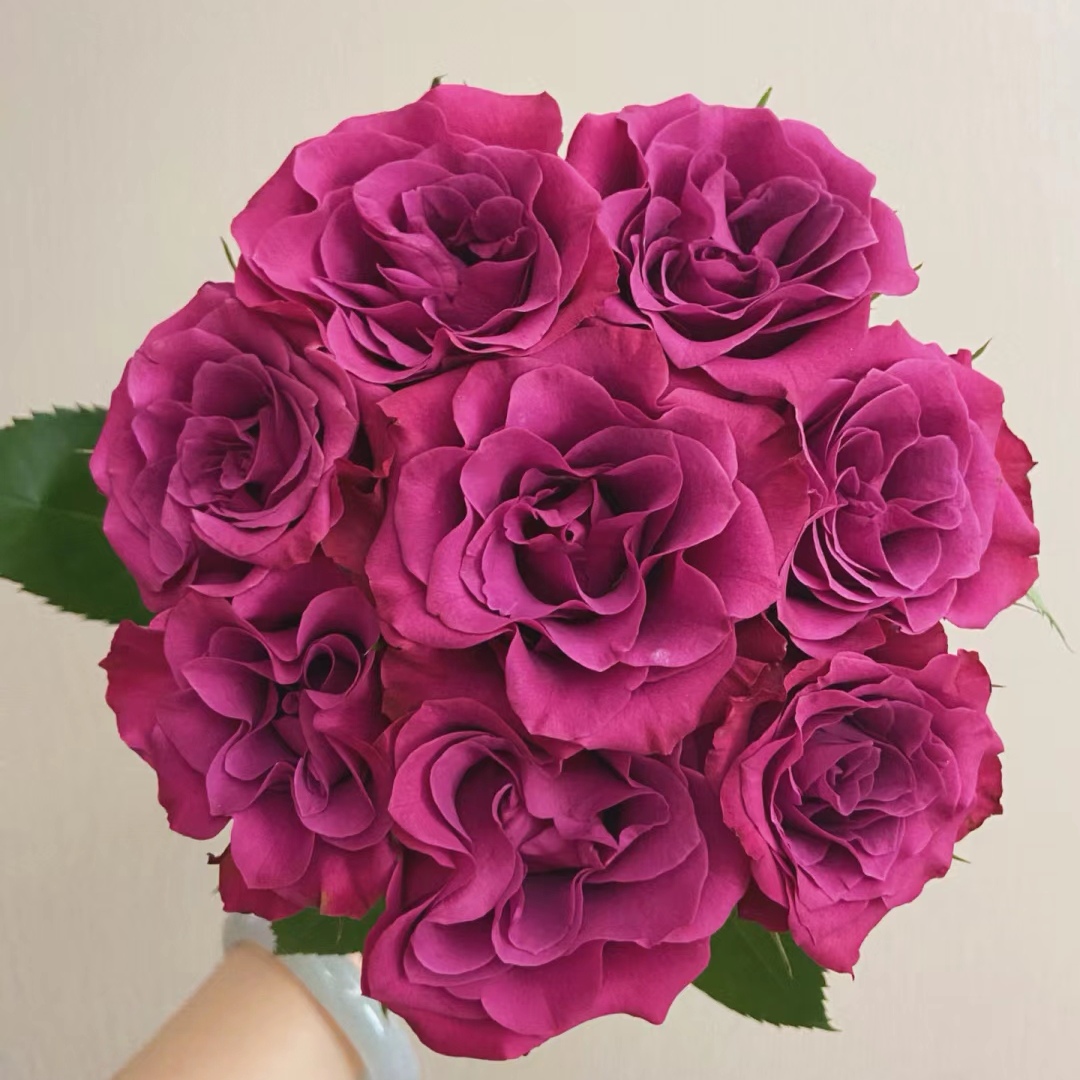 【蓝莓】云南直发顺丰冷链包邮