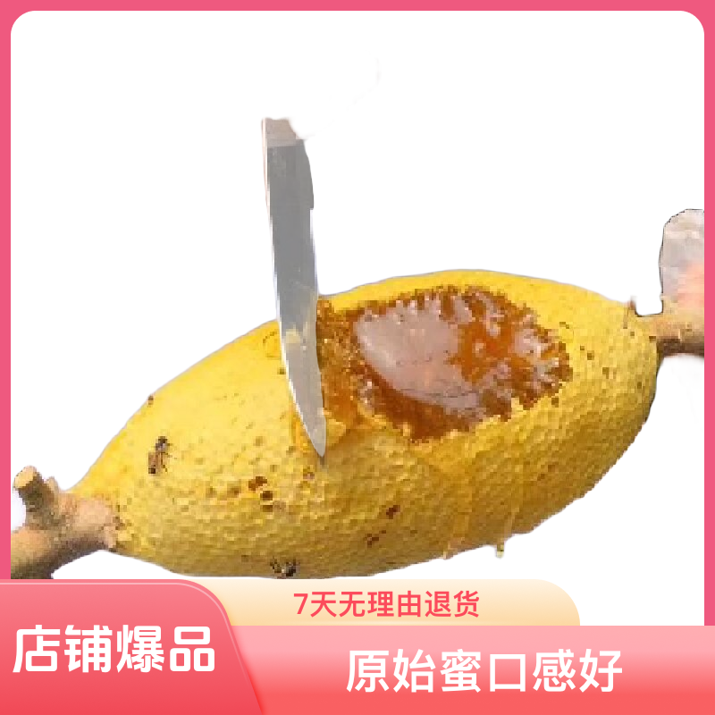 蜂巢蜜一斤装500克 【小挂蜜】