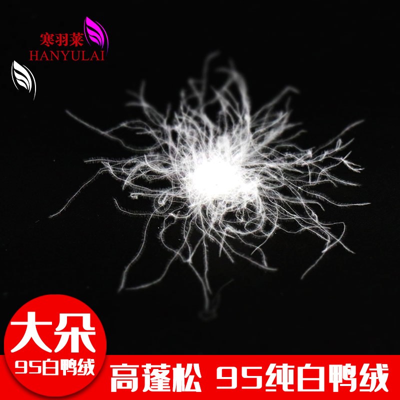 工厂直销市场散装95大朵白鸭绒绒柔软高品质羽绒服羽绒被填充原料