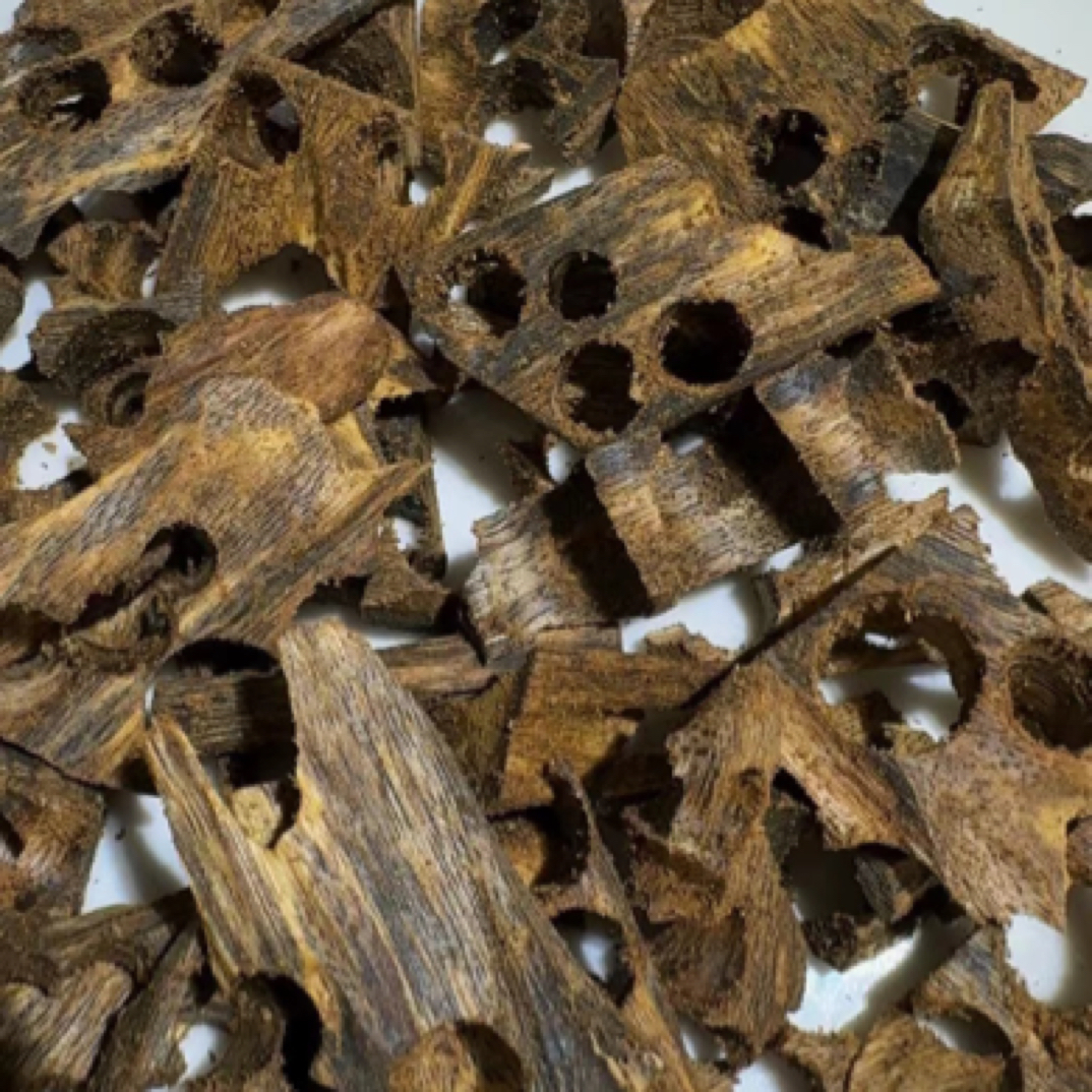 奇楠沉香海南存放三年红骨凹身车珠料