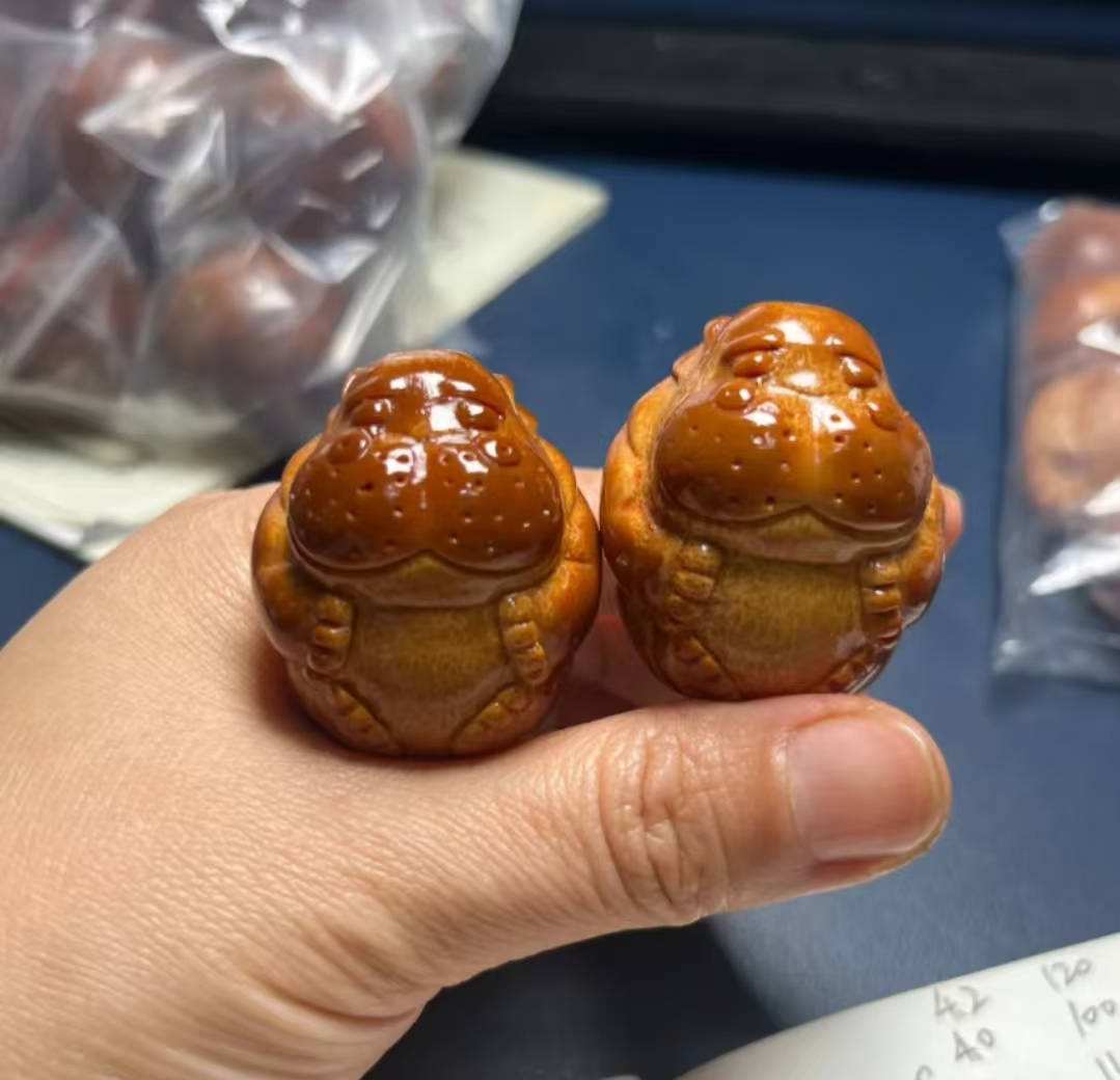 河马 小可爱 巴西橄榄核