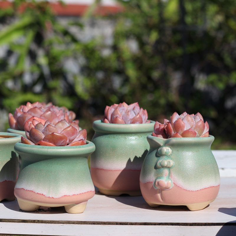 窑变流釉多肉花盆粗陶透气拇指盆创意肉肉盆精控养老桩盆哑光陶盆