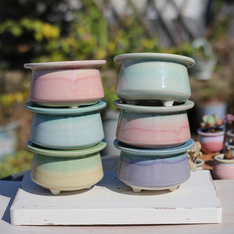 糖果色多肉花盆白瓷冰裂大帽檐群生盆马卡龙色盆透气个性创意彩虹