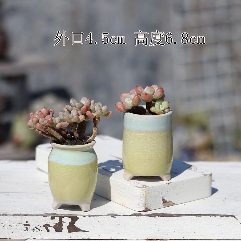 多肉拇指花盆冰裂流釉喜光盆渐变色老桩控养盆透气陶盆肉肉专用盆