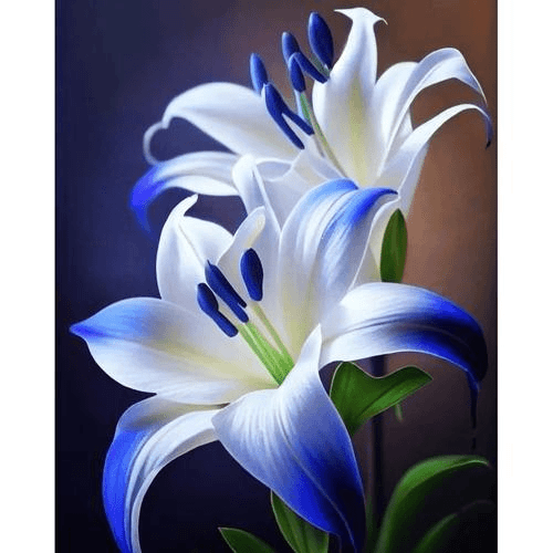 全新品种【北极星】香水百合种球四季花卉好养易活盆栽浓香百合种球