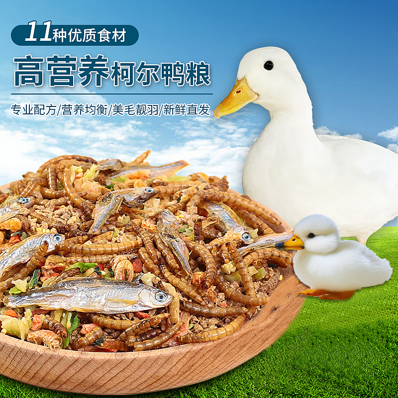 柯尔鸭成年产蛋粮面包虫干鱼干虾干鸭子营养均衡开口粮可达鸭