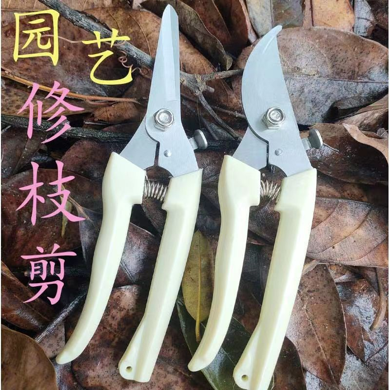 剪枝果树修枝剪刀园艺园林修花枝剪家用强力剪子神器花剪剪枝剪刀