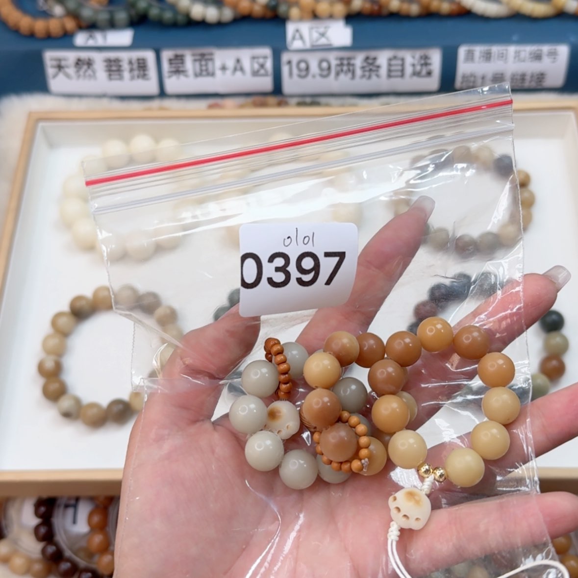 【闪购商品】菩提根/象牙果吊坠