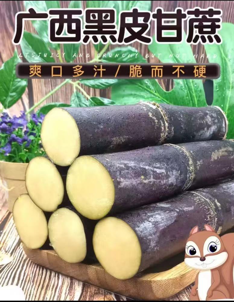 【新鲜甘蔗 坏果包赔】广西新鲜甘蔗 应季甘蔗清甜脆口5斤