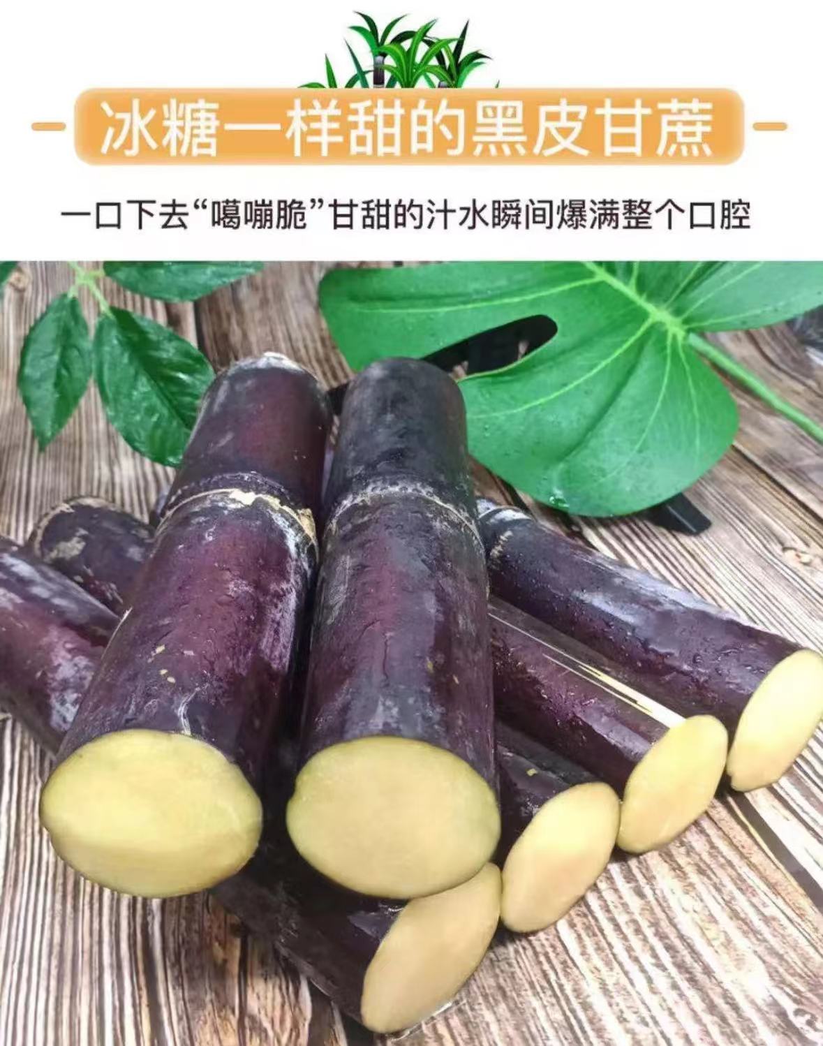 【新鲜甘蔗 坏果包赔】广西新鲜甘蔗 应季甘蔗清甜脆口5斤