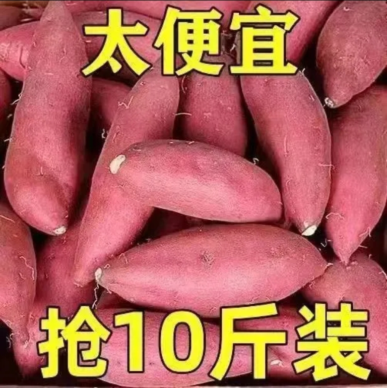 【限量抢购10斤现挖现发】广西沙地红蜜薯西瓜红超甜糖心番薯烤地瓜