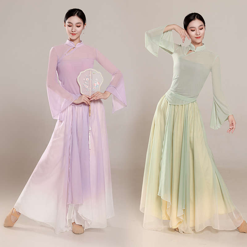 古典舞舞蹈服新款弹力网纱上衣飘逸纱衣练功服中国舞民族演出服装