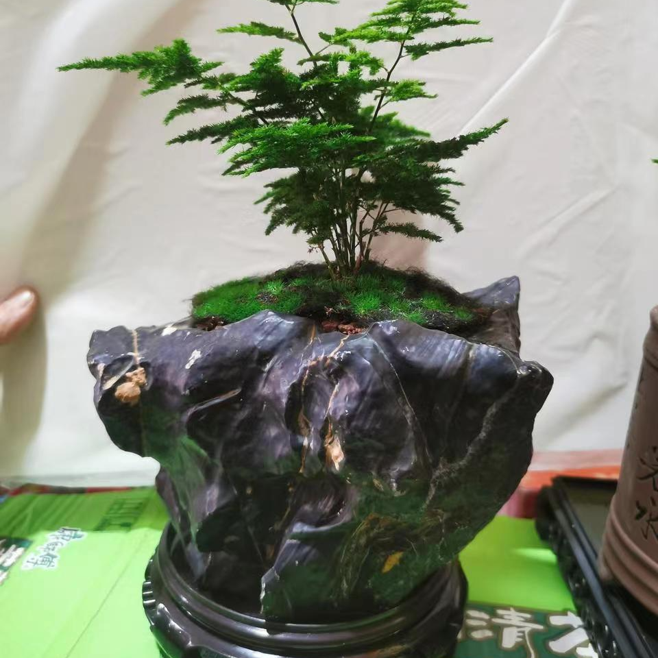 灵璧石花盆鱼缸茶盘