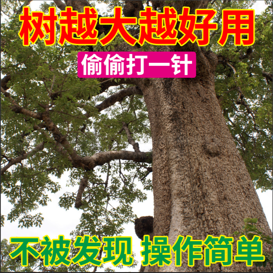 C简单一针倒方便简单打一针树房前屋后大树操作
