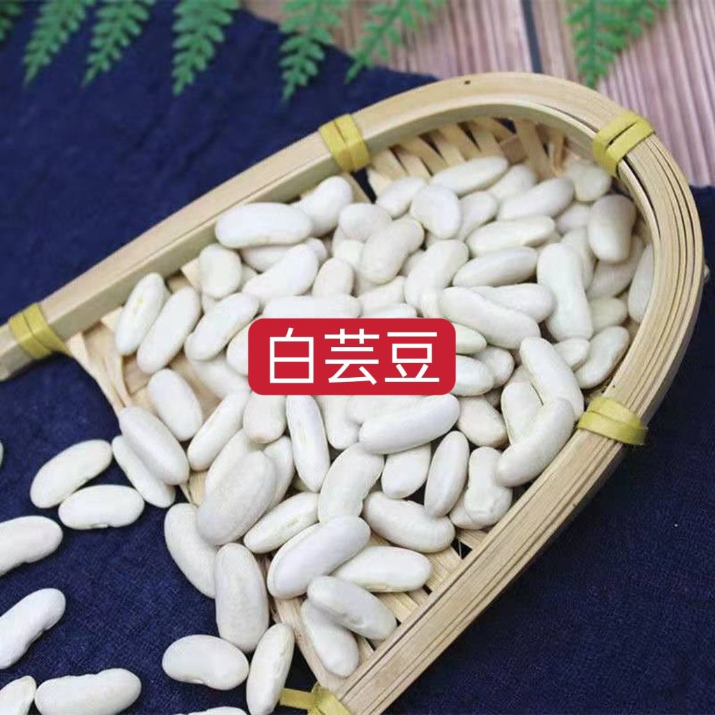 云南白芸豆新货大芸豆白腰豆豆类五谷杂粮杂豆