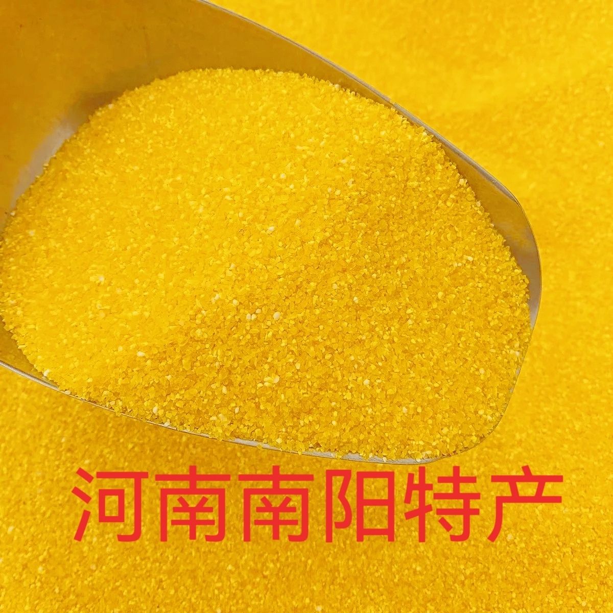 河南特产玉米糁粗细带面玉米粒颗粒玉米渣子新鲜营养饱满金黄米香