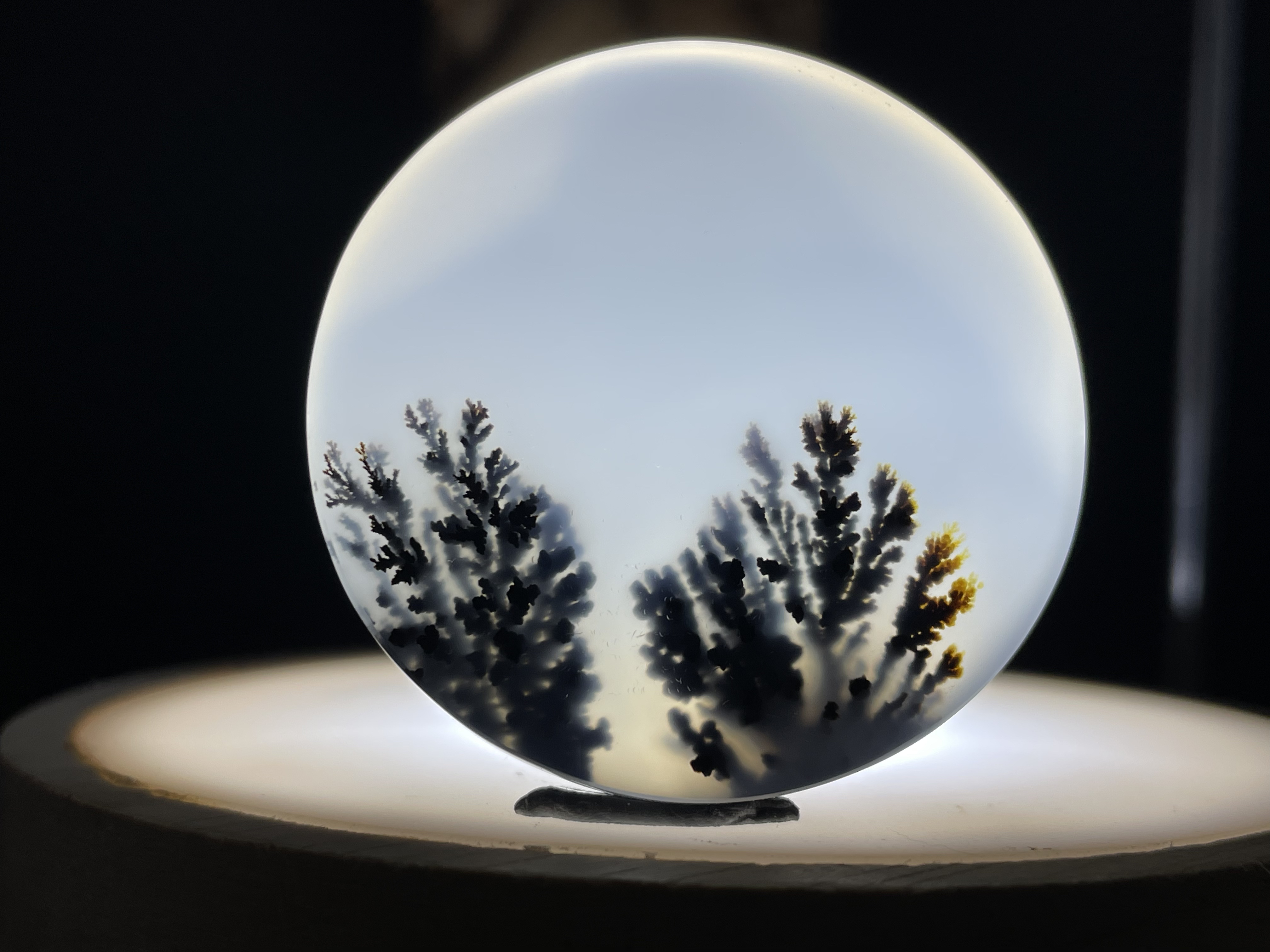 精品海洋玉髓-水墨花草