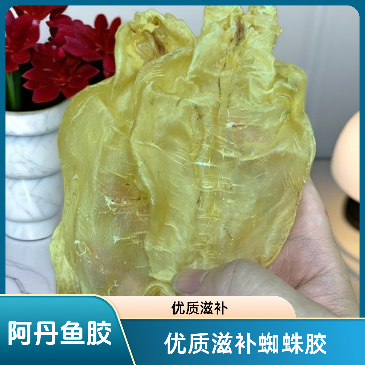 【阿丹家】鱼胶干货滋补品花胶蜘蛛胶100-500g