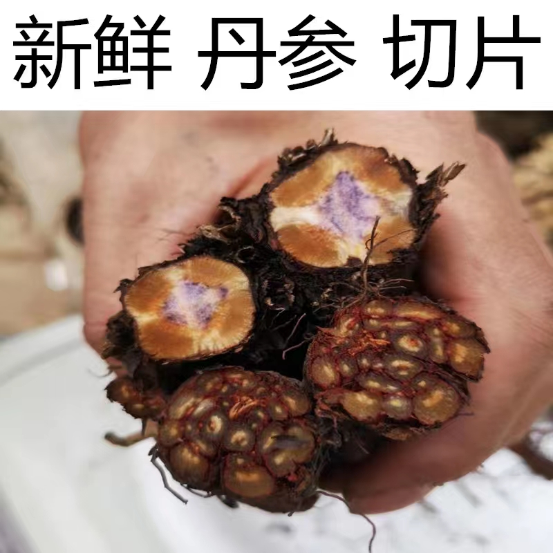 野生紫 丹单 参250g包邮深山采挖无添加整颗可切段新鲜产地直供