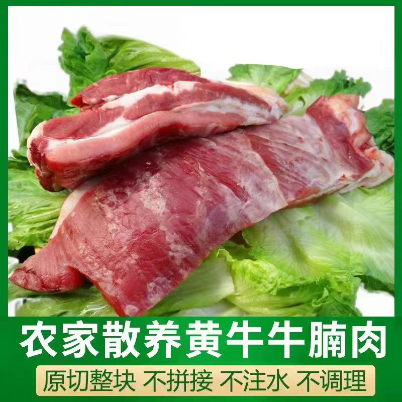 新鲜牛腩肉现杀冷冻南阳黄牛肉精修牛腩肉生鲜肉原切净含量500克